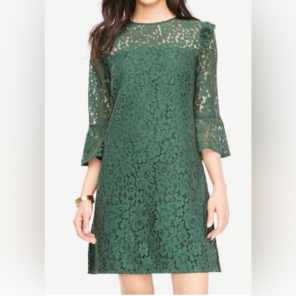 Ann Taylor Lace A-Line Dress
